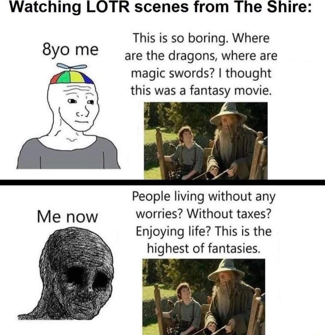 Watching LOTR scenes from The Shire This is so boring Where 8yo me are the dragons where are P magic swords thought this was a fantasy movie People living without any Me now worries Without taxes Enjoying life This is the highest of fantasies