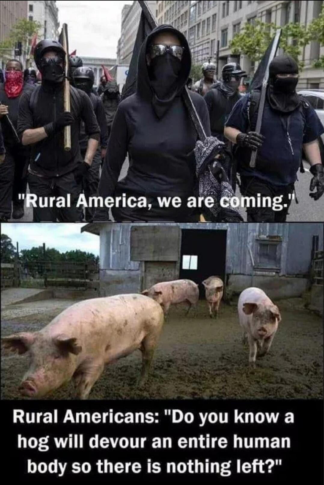 Rural America, we are coming. Rural Americans: 