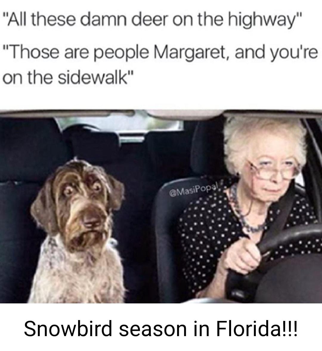 All these damn deer on the highway Those are people Margaret and youre on the sidewalk s RS Snowbird season in Florida