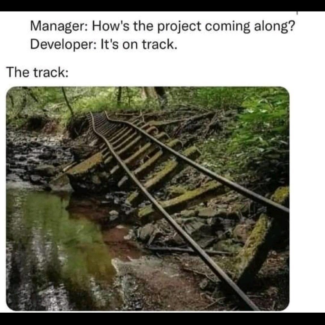 Manager Hows the project coming along Developer Its on track The track