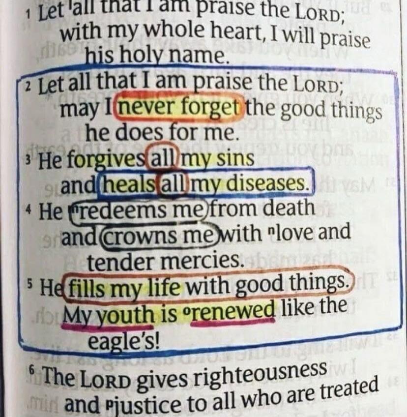 Let all that I am praise the LORD; with my whole heart, I will praise his holy name. Let all that I am praise the LORD; may I never forget the good things he does for me. He forgives all my sins and heals all my diseases. He redeems me from death and crowns me with love and tender mercies. He fills my life with good things. My youth is renewed like
