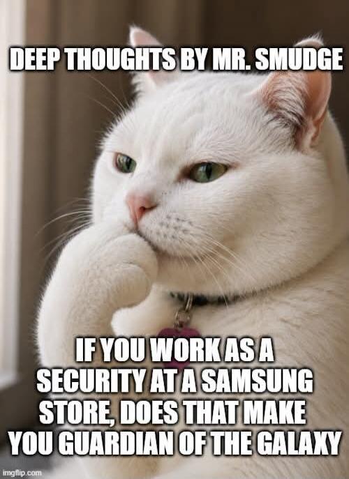 DEEP THOUGHTS BY MR. SMUDGE IF YOU WORK AS A SECURITY AT A SAMSUNG STORE, DOES THAT MAKE YOU GUARDIAN OF THE GALAXY