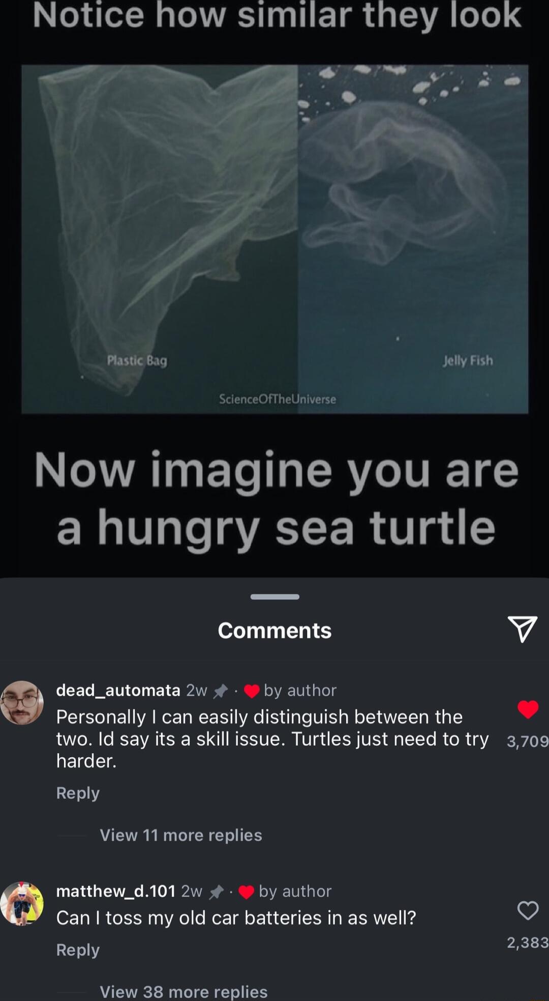 Notice how similar they look _ J TR Plastic b9 Jely Fish N AATLET R ERCUETLS EX T oaVAY ER gi T 74 dead_automata 2w by author Personally can easily distinguish betweenthe two Id say its a skill issue Turtles just need to try 3703 harder Reply View 11 more replies matthew_d101 2w by author Can toss my old car batteries in as well o Reply Btk View 38 more replies