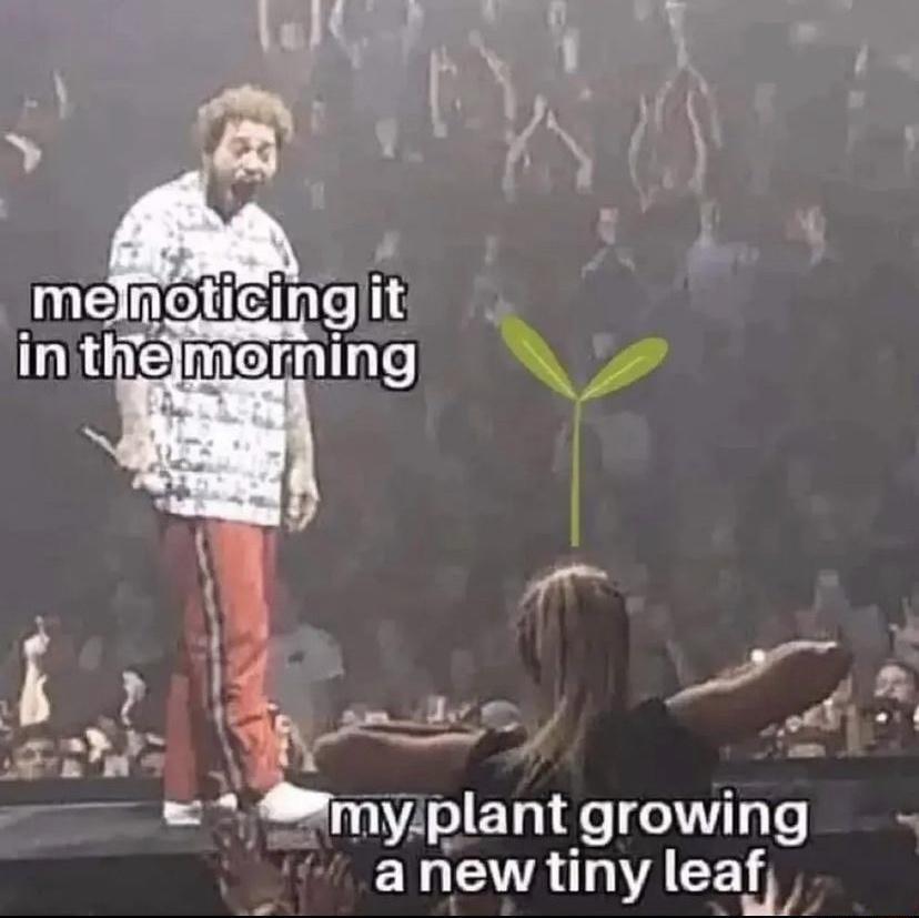 e P e L7 ol ET e i gTe ENEVATIAEE Y