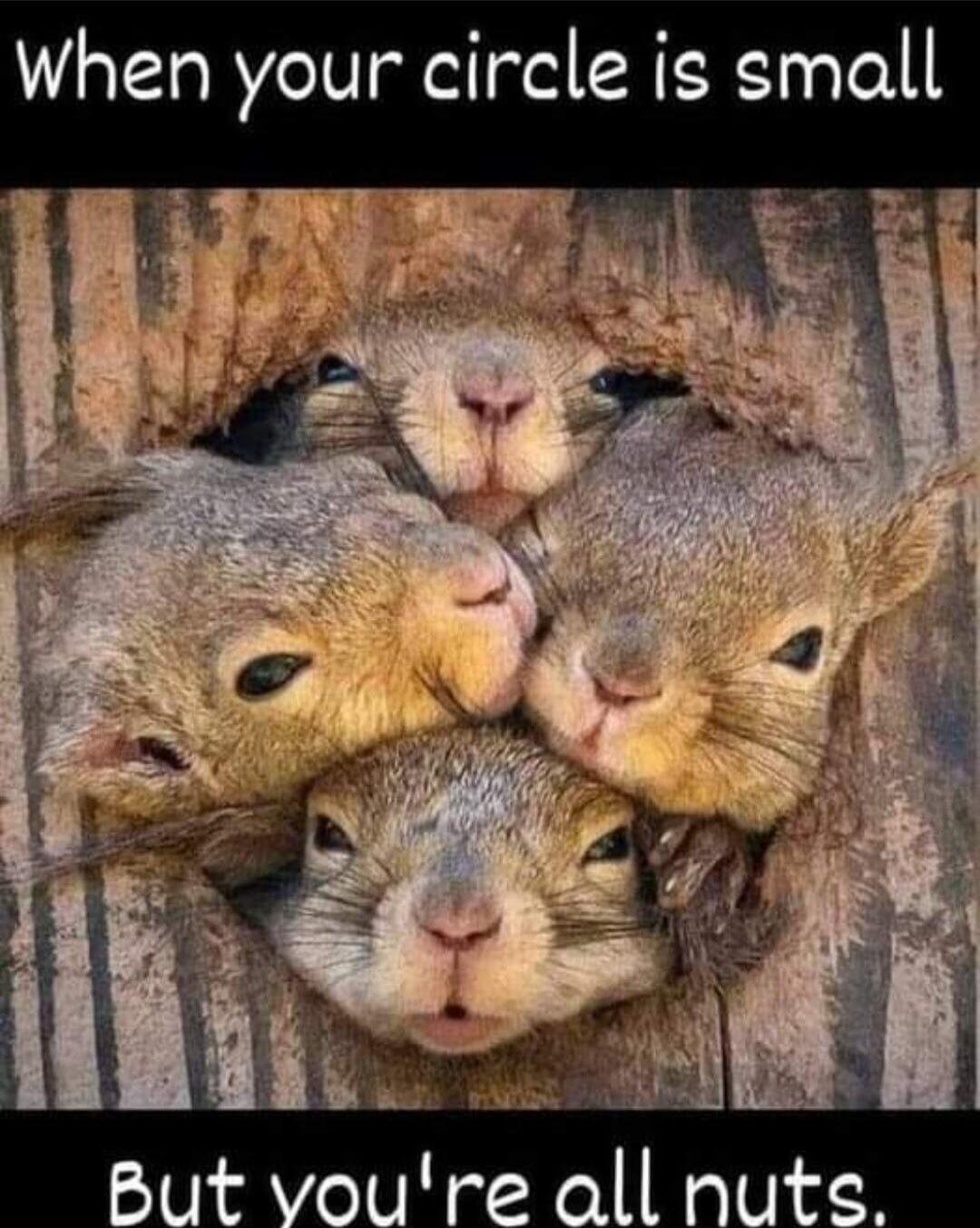 When your circle is small
But you're all nuts.
