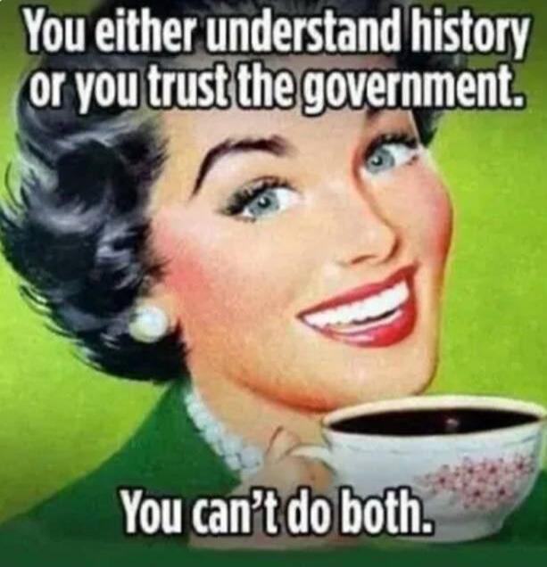 You either understand history or you trust the government. You can't do both.