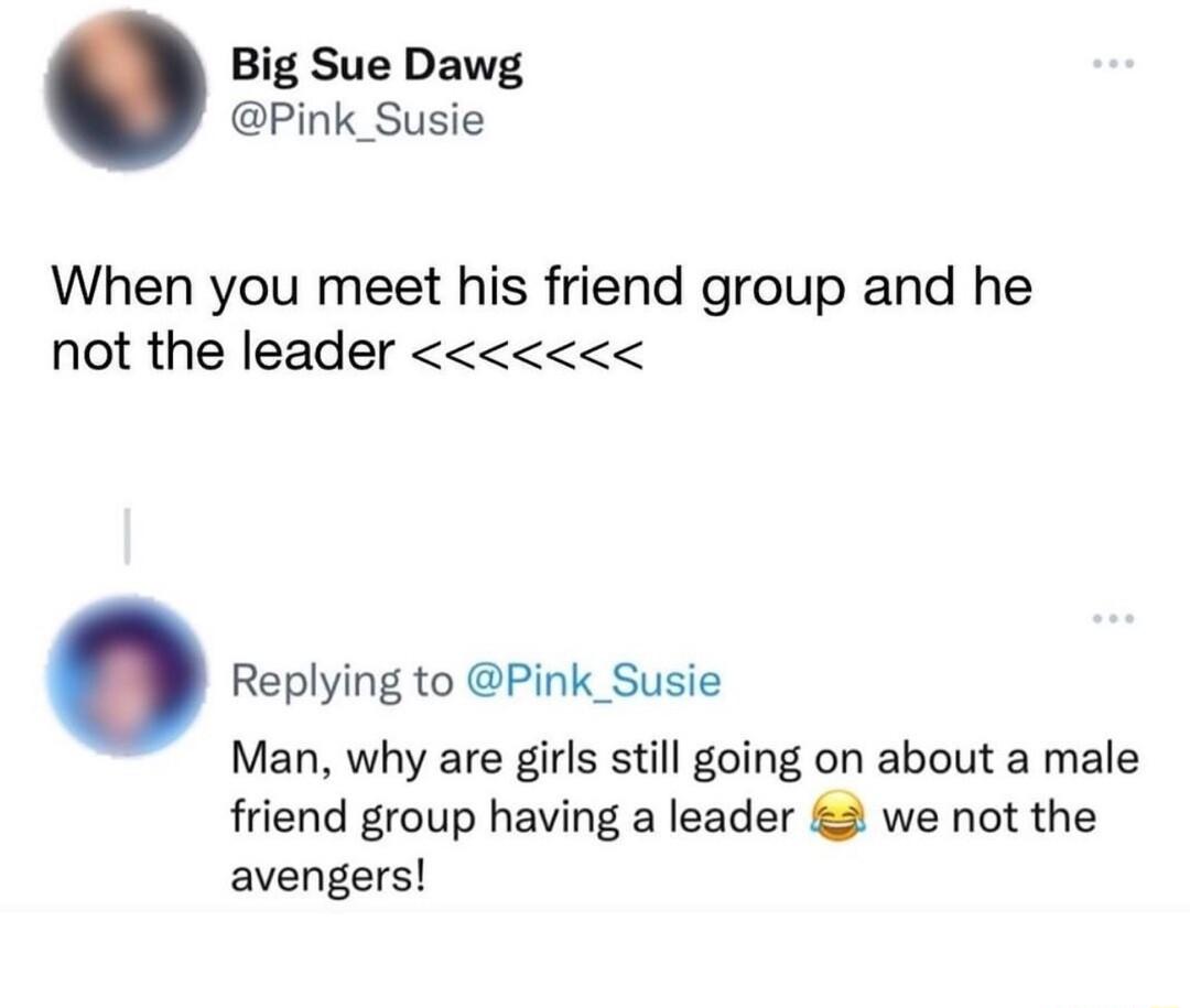 Big Sue Dawg Pink_Susie When you meet his friend group and he not the leader Replying to Pink_Susie Man why are girls still going on about a male friend group having a leader 2 we not the avengers