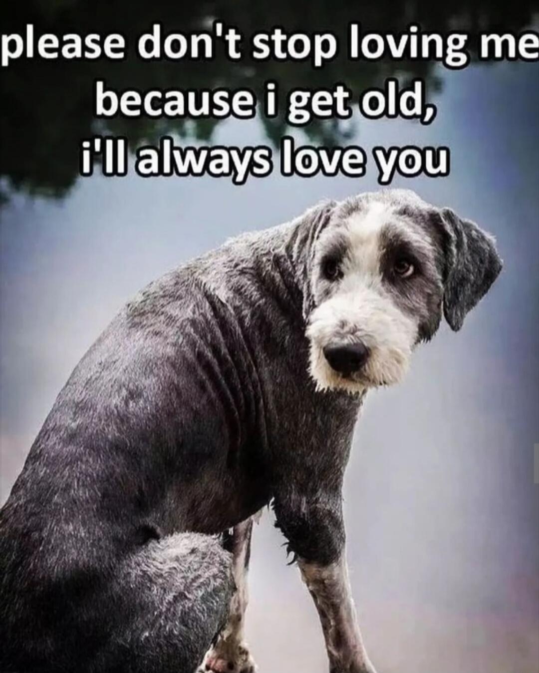 please don't stop loving me because i get old, i'll always love you