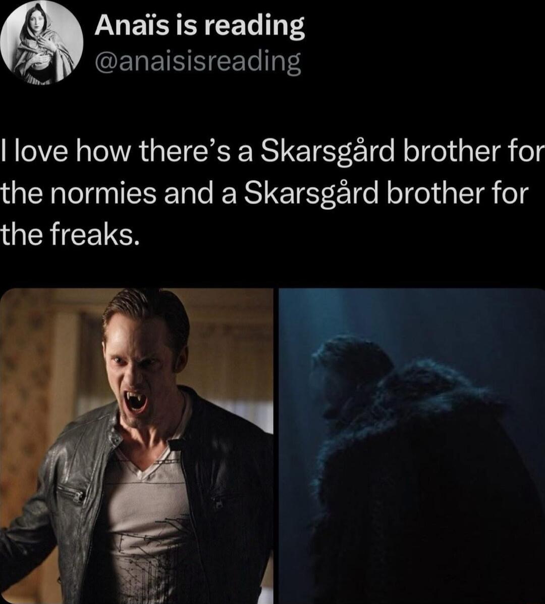 Anais is reading e ELEINEET 4 love how theres a Skarsgard brother for the normies and a Skarsgrd brother for GEREELEN