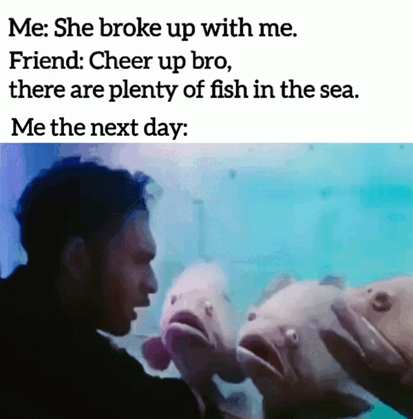 Me She broke up with me Friend Cheer up bro there are plenty of fish in the sea Me the next day
