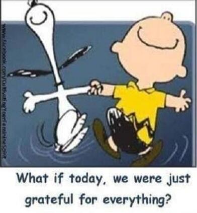 What if today, we were just grateful for everything?