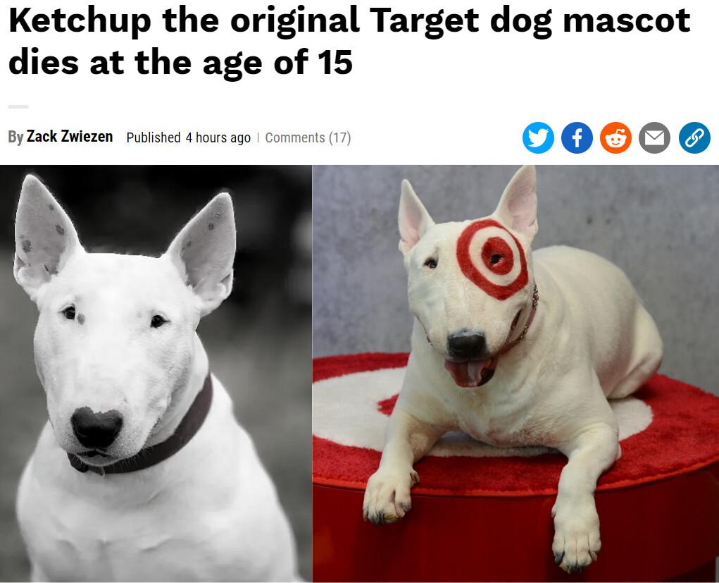 Ketchup the original Target dog mascot dies at the age of 15 oy Zack Zolezen s b o