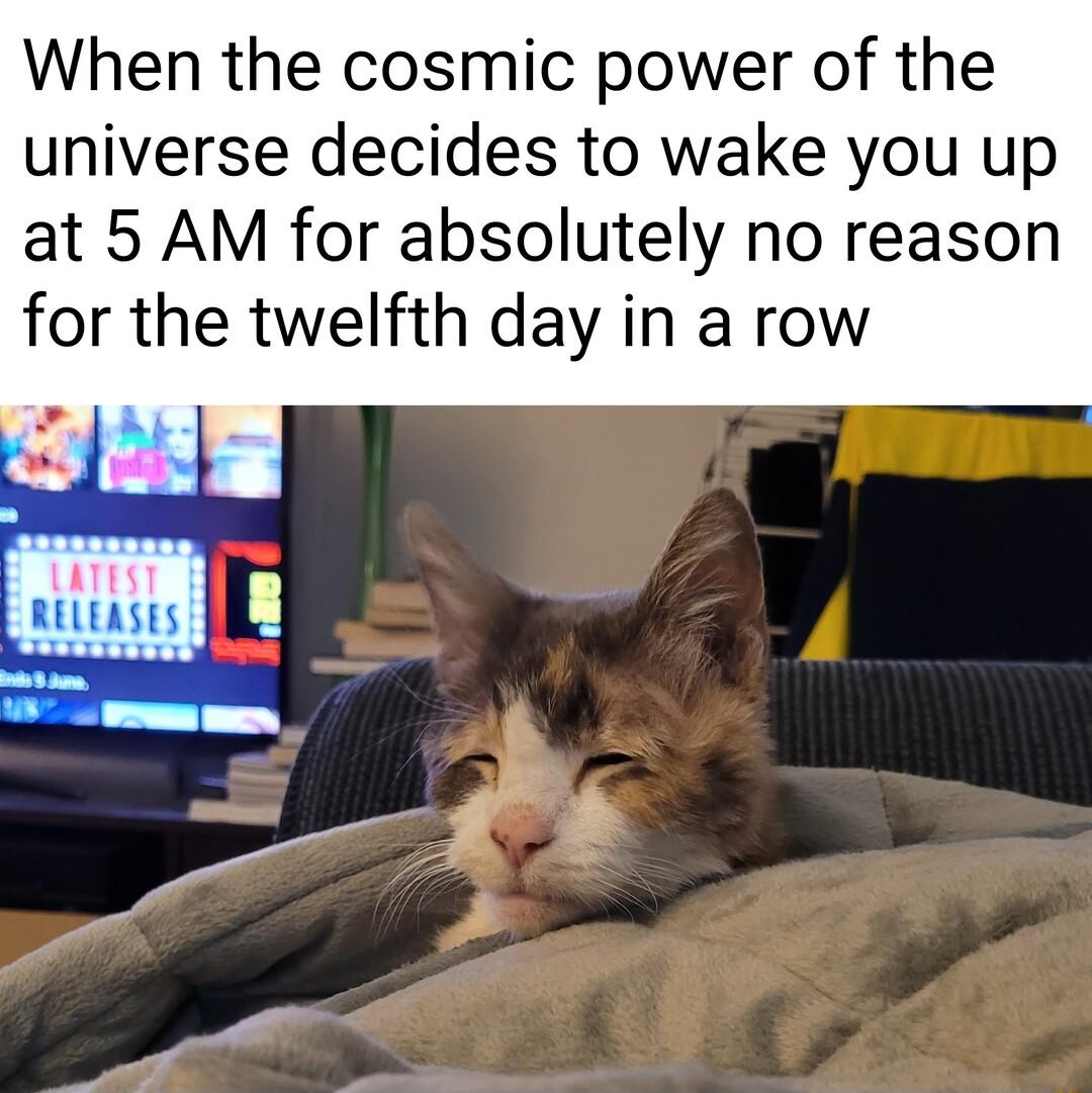 When the cosmic power of the universe decides to wake you up at 5 AM for absolutely no reason for the twelfth day in a row