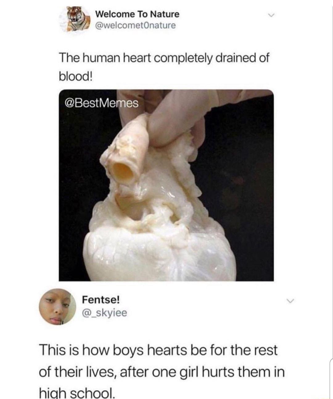 Welcome To Nature The human heart completely drained of blood This is how boys hearts be for the rest of their lives after one girl hurts them in hiah school
