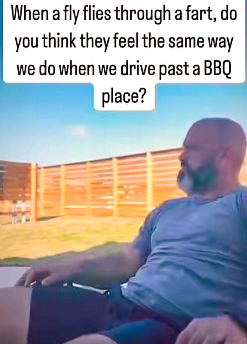 When afly flies through a fart do you think they feel the same way we do when we drive pastaBBQ a place