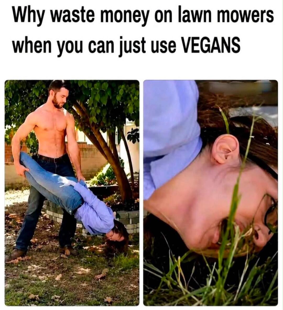 Why waste money on lawn mowers when you can just use VEGANS