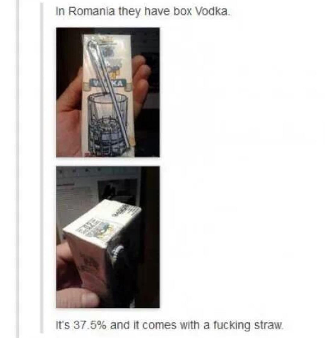 sharkbites Jjonnovstheinternet In Romania they have box Vodka Its 375 and it comes with a fucking straw perfect for school lunches