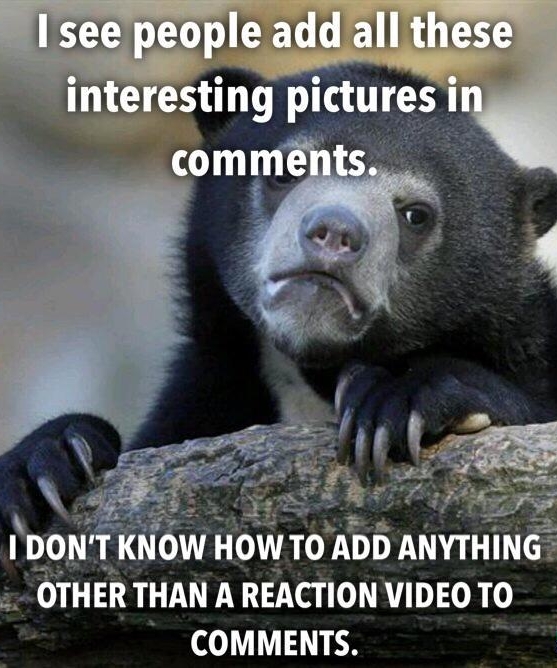 ka T interesting pictures i OTHER THAN A REACTION VIDEO TO COMMENTS
