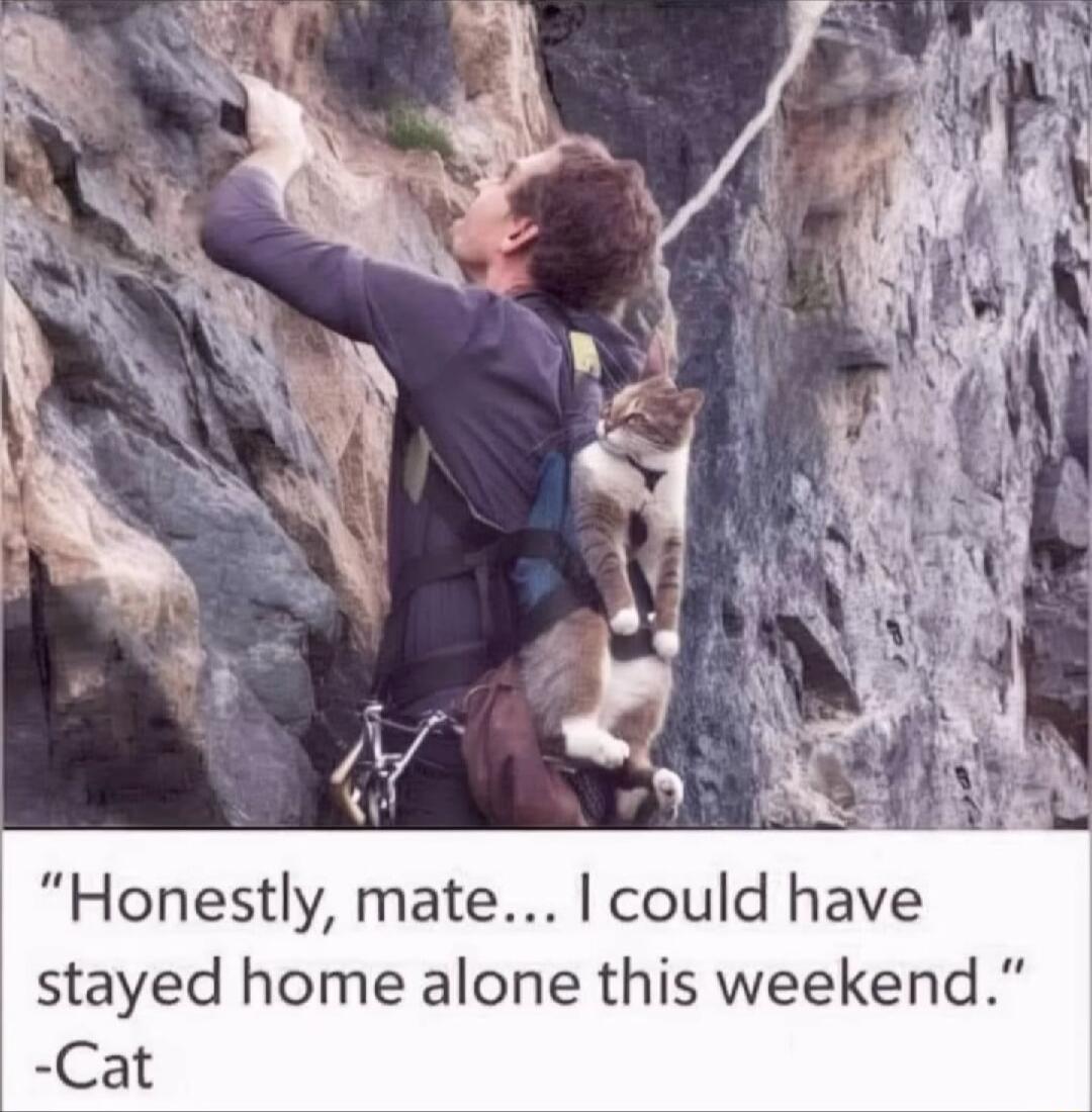 Honestly mate could have stayed home alone this weekend Cat