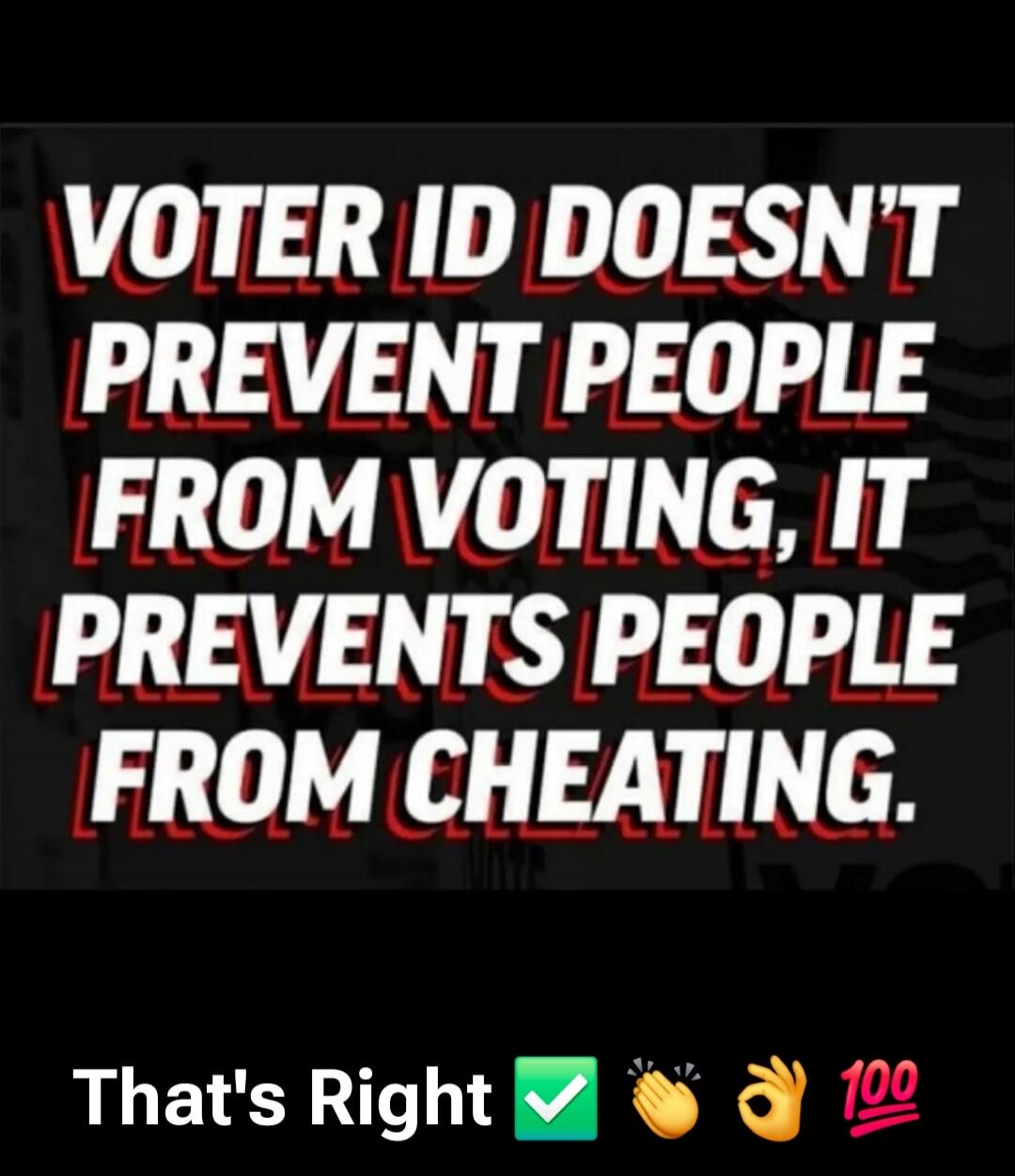 VOTER ID DOESN'T PREVENT PEOPLE FROM VOTING, IT PREVENTS PEOPLE FROM CHEATING. That's Right ✅ 🙌 👌 💯