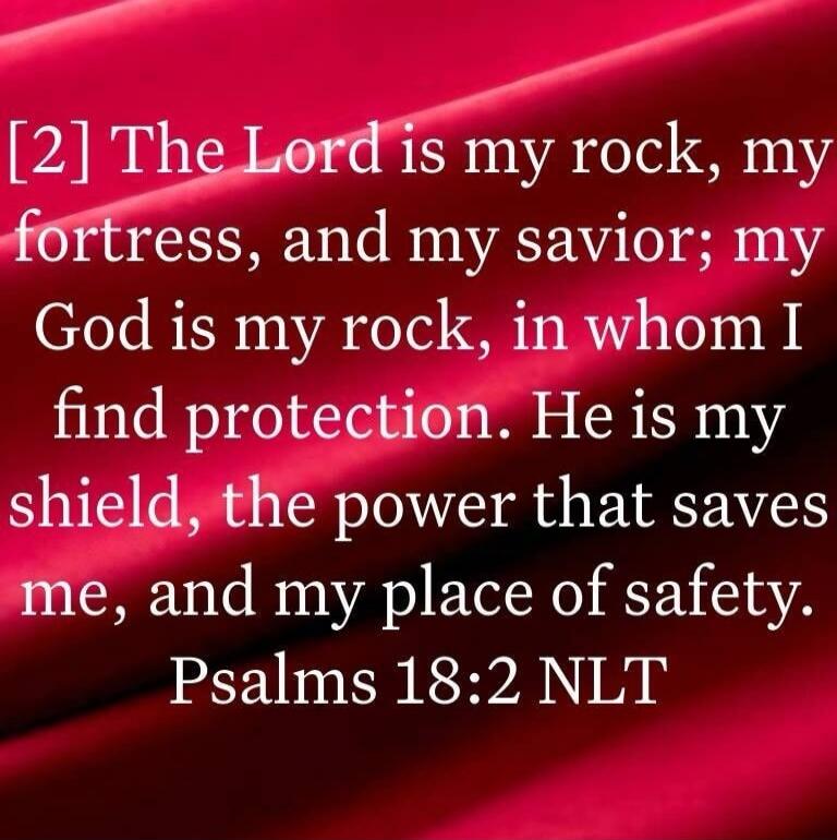 The Lord is my rock, my fortress, and my savior; my God is my rock, in whom I find protection. He is my shield, the power that saves me, and my place of safety. Psalms 18:2 NLT