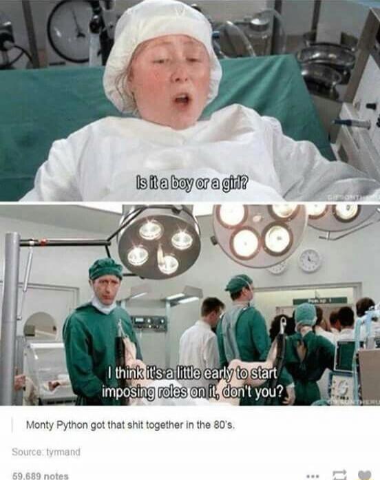 Is it a boy or a girl?
I think it's a little early to start imposing roles on it, don't you?
Monty Python got that shit together in the 80's.