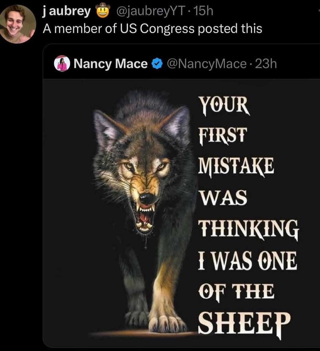 D jaubrey jaubreyYT 15h A member of US Congress posted this Nancy Mace NancyMace 23h YOUR 3 7 MISTAKE v was THINKING I WAS ONE OF THE _ _SHEEP