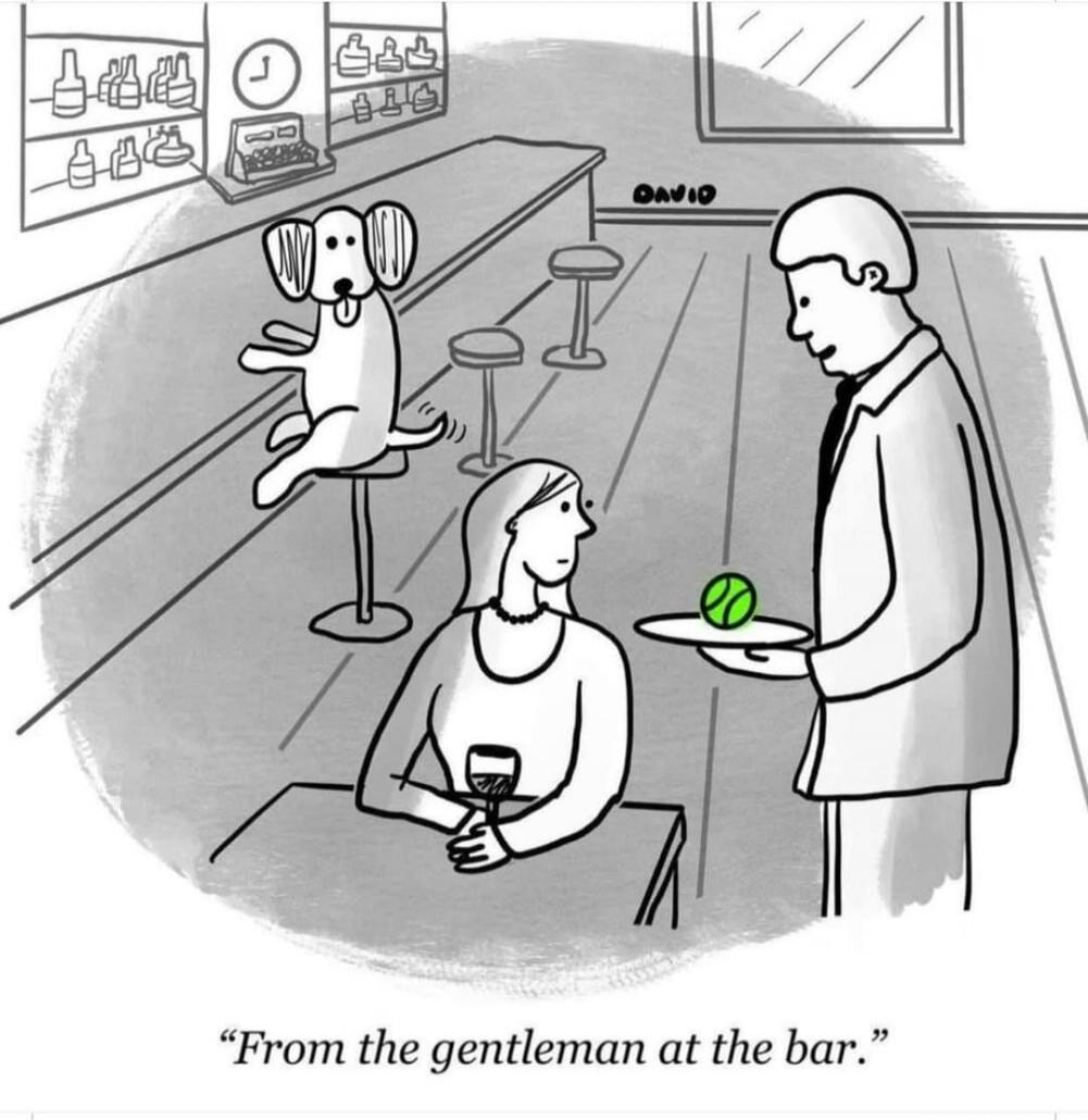 From the gentleman at the bar.
