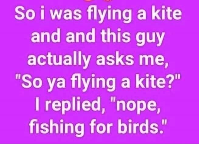 So i was flying a kite and and this guy actually asks me, 