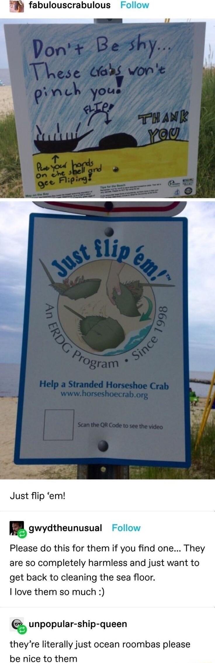 fabulouscrabulous Follow Just flip em l gwydtheunusual Follow Please do this for them if you find one They are so completely harmless and just want to get back to cleaning the sea floor I love them so much Q unpopular ship queen theyre literally just ocean roombas please be nice to them