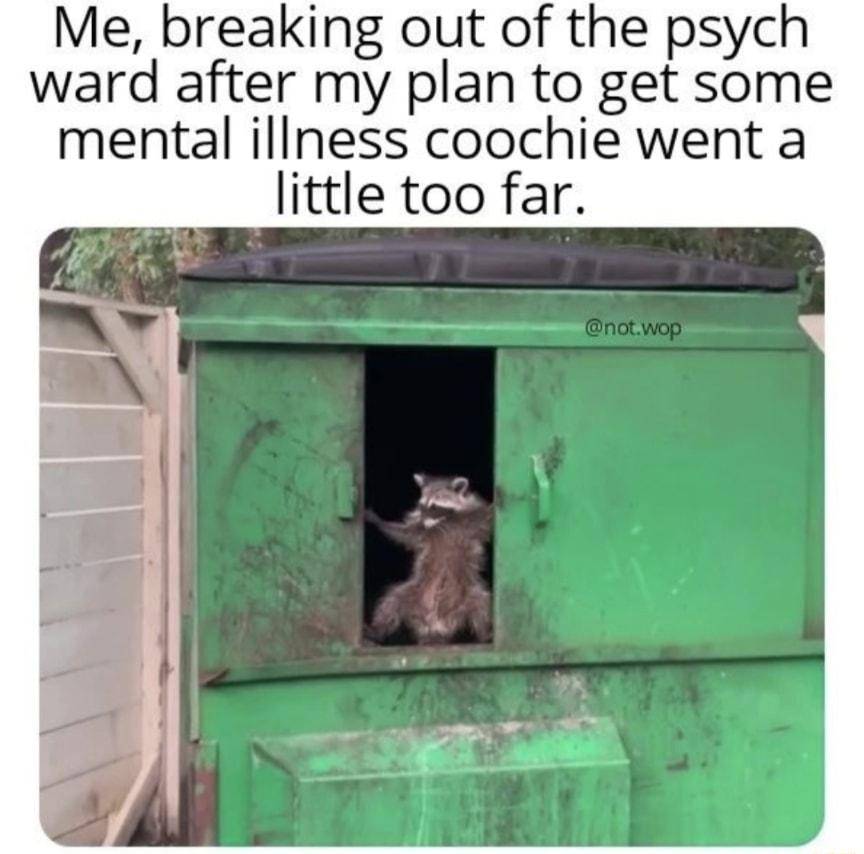 Me breaking out of the psych ward after my plan to get some mental illness coochie went a little too far