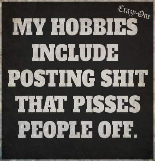 MY HOBBIES INCLUDE POSTING SHIT THAT PISSES PEOPLE OFF.