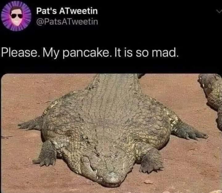 Pats ATweetin PatsATweetin Please My pancake It is so mad