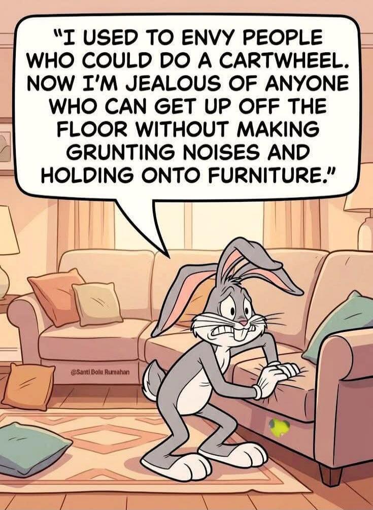 I USED TO ENVY PEOPLE WHO COULD DO A CARTWHEEL. NOW I'M JEALOUS OF ANYONE WHO CAN GET UP OFF THE FLOOR WITHOUT MAKING GRUNTING NOISES AND HOLDING ONTO FURNITURE.