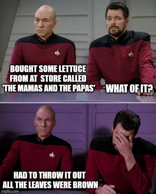BOUGHT SOME LETTUCE FROM AT STORE CALLED THE MAMAS AND THE PAPAS - WHAT OF IT? HAD TO THROW IT OUT ALL THE LEAVES WERE BROWN