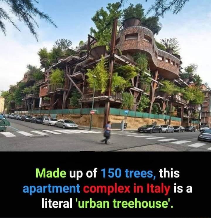 Made up of 150 trees this ELEl 0 CX T RTTGET R T