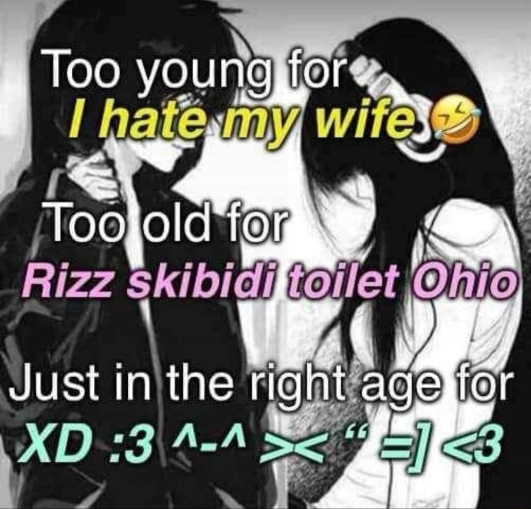 Too young for
I hate my wife😂

Too old for
Rizz skibidi toilet Ohio

Just in the right age for
XD :3 ^-^ <3