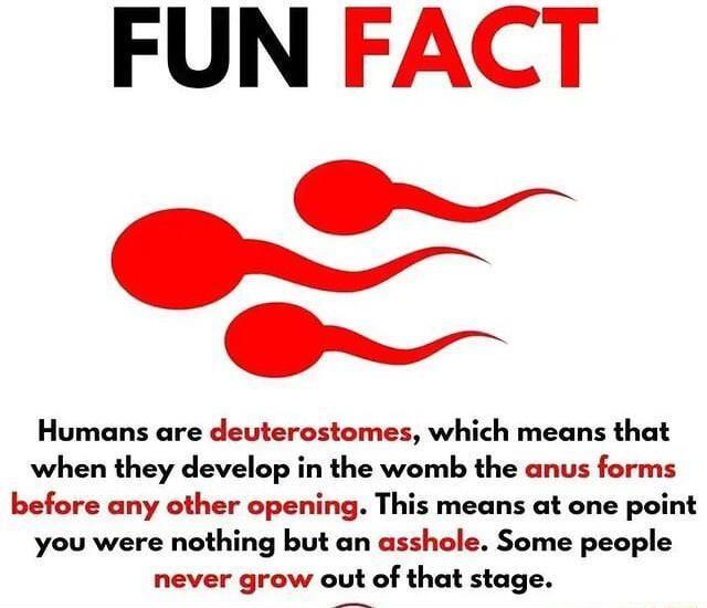 FUN FACT w Humans are deuterostomes which means that when they develop in the womb the anus forms before any other opening This means at one point you were nothing but an asshole Some people never grow out of that stage