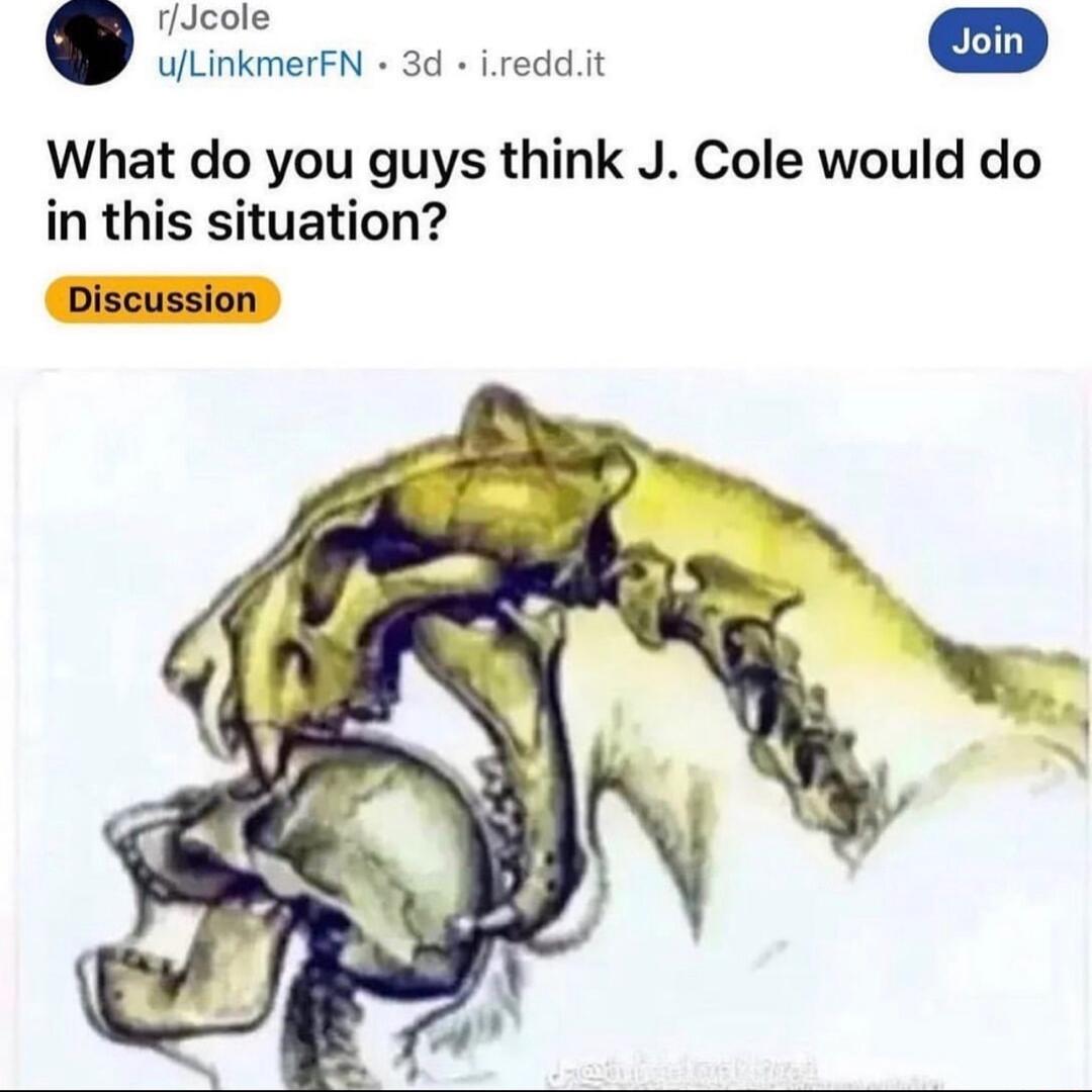 fJcole uLinkmerfN 3d ireddit What do you guys think J Cole would do in this situation
