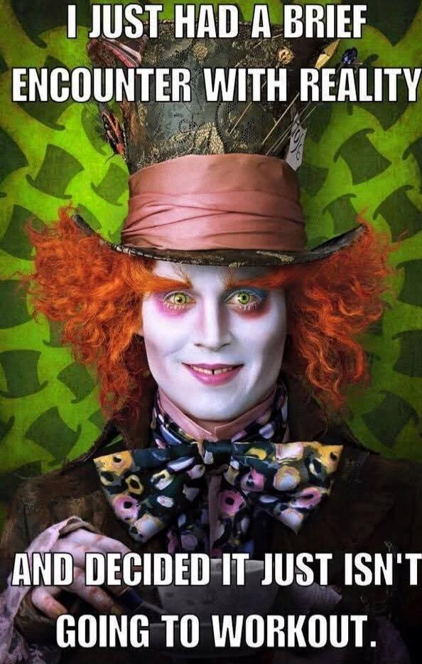 I JUST HAD A BRIE ENCOUNTER WITH REALITY AND DECIDED IT JUST ISN'T GOING TO WORKOUT.