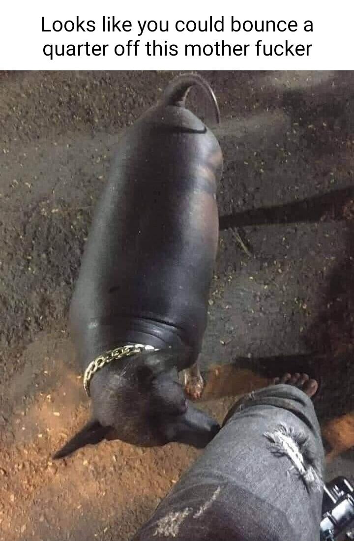 Looks like you could bounce a quarter off this mother fucker