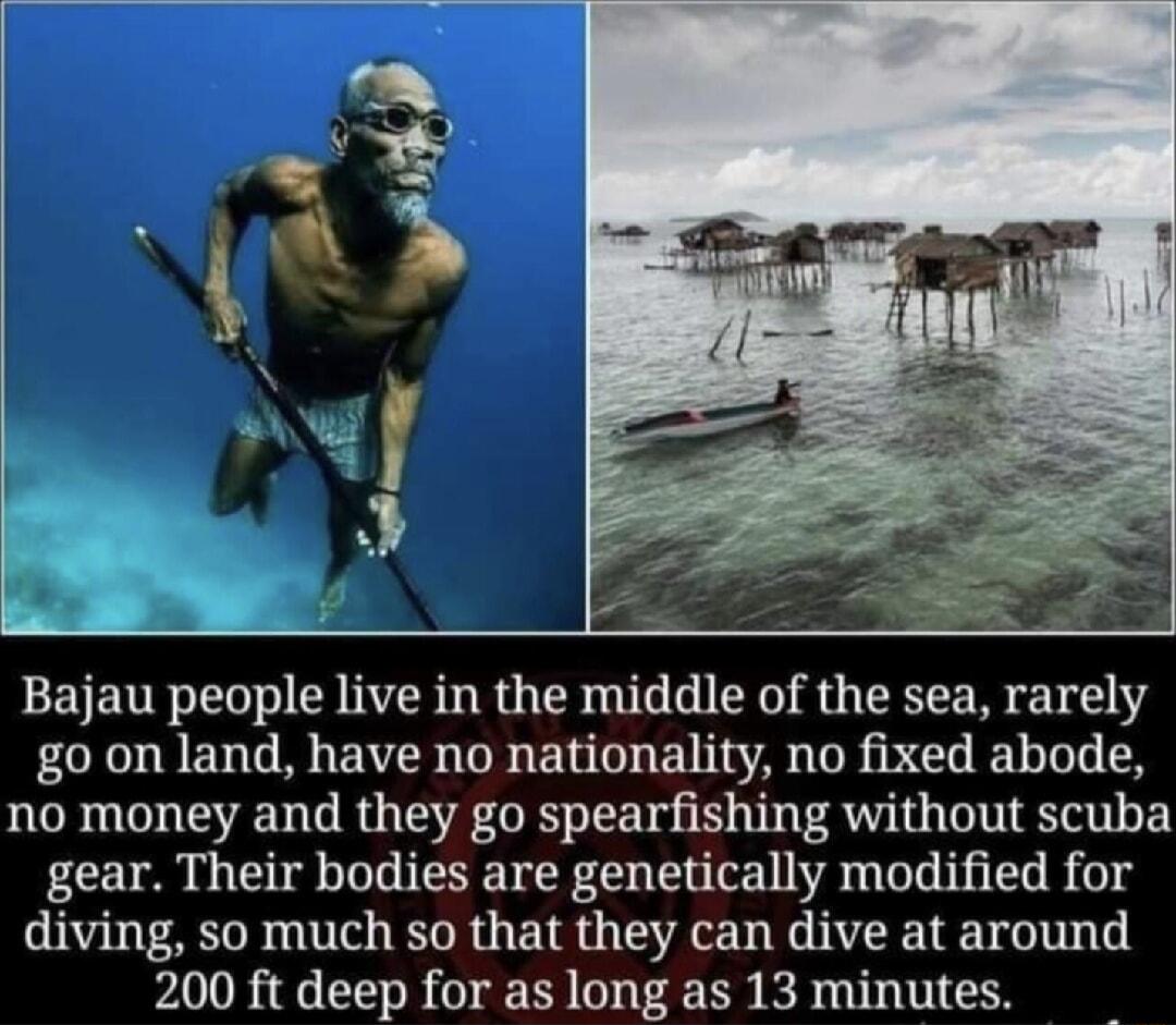 Bajau people live in the middle of the sea rarely go on land have no nationality no fixed abode no money and they go spearfishing without scuba gear Their bodies are genetically modified for diving so much so that they can dive at around 200 ft deep for as long as 13 minutes