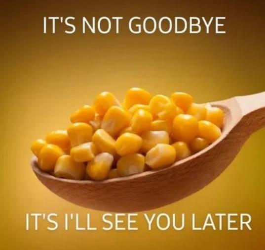 ITS NOT GOODBYE AY e Y W ITS LL SEE YOU LATER