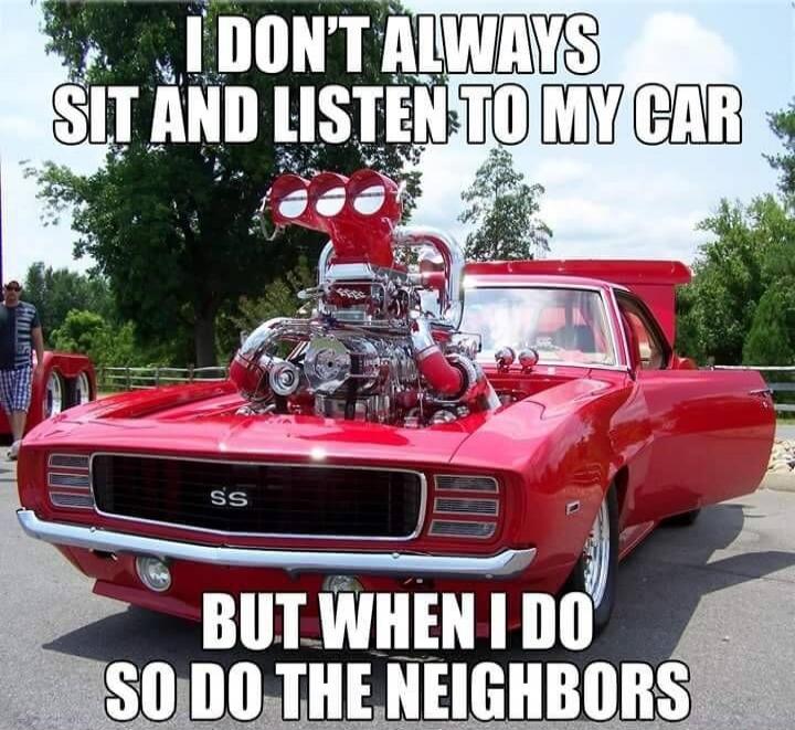 I DON'T ALWAYS SIT AND LISTEN TO MY CAR BUT WHEN I DO SO DO THE NEIGHBORS