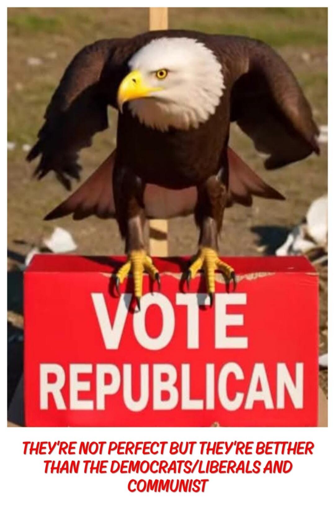 VOTE REPUBLICAN THEY'RE NOT PERFECT BUT THEY'RE BETTHER THAN THE DEMOCRATS/LIBERALS AND COMMUNIST