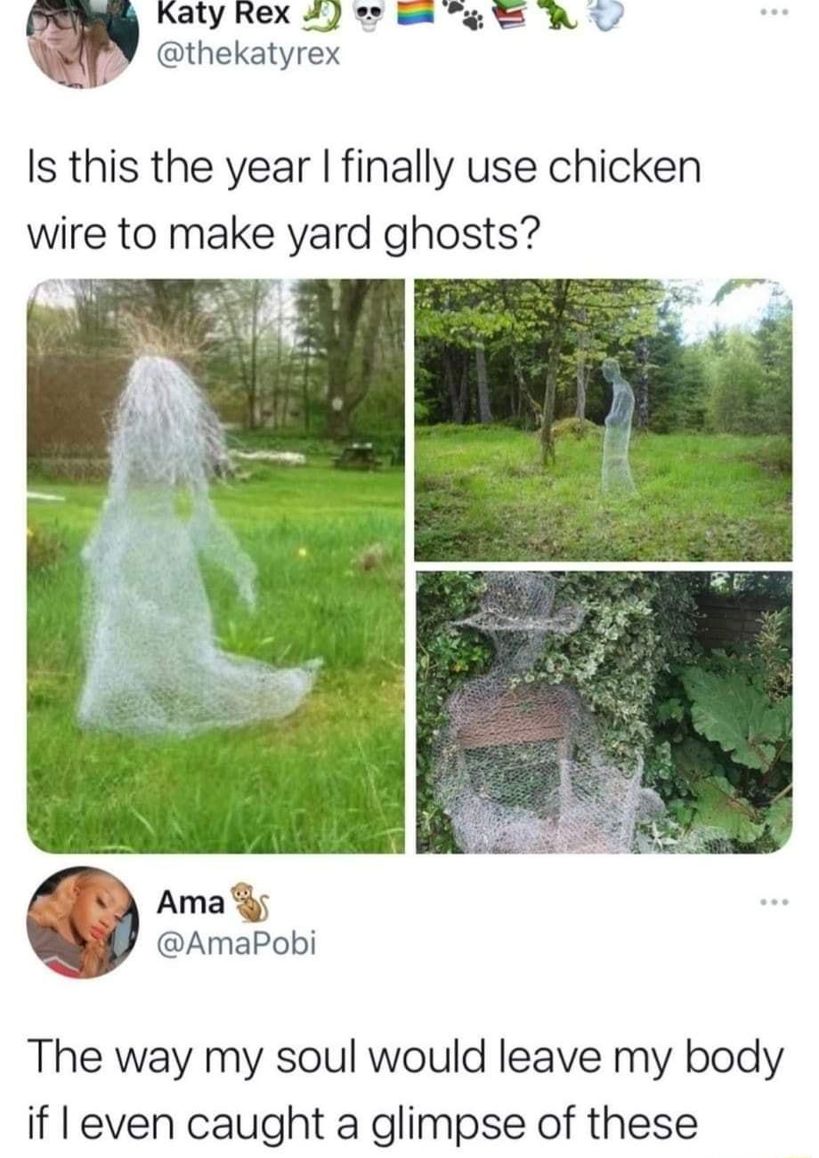 Katy Rex o B8 R y thekatyrex Is this the year finally use chicken wire to make yard ghosts Vil Ama AmaPobi The way my soul would leave my body if even caught a glimpse of these