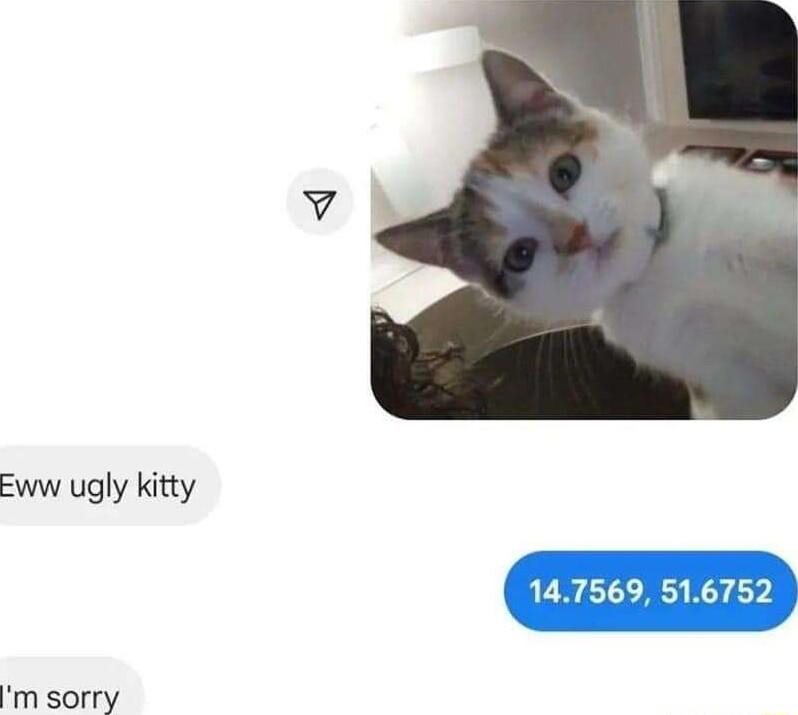 Fww ugly kitty m sorry