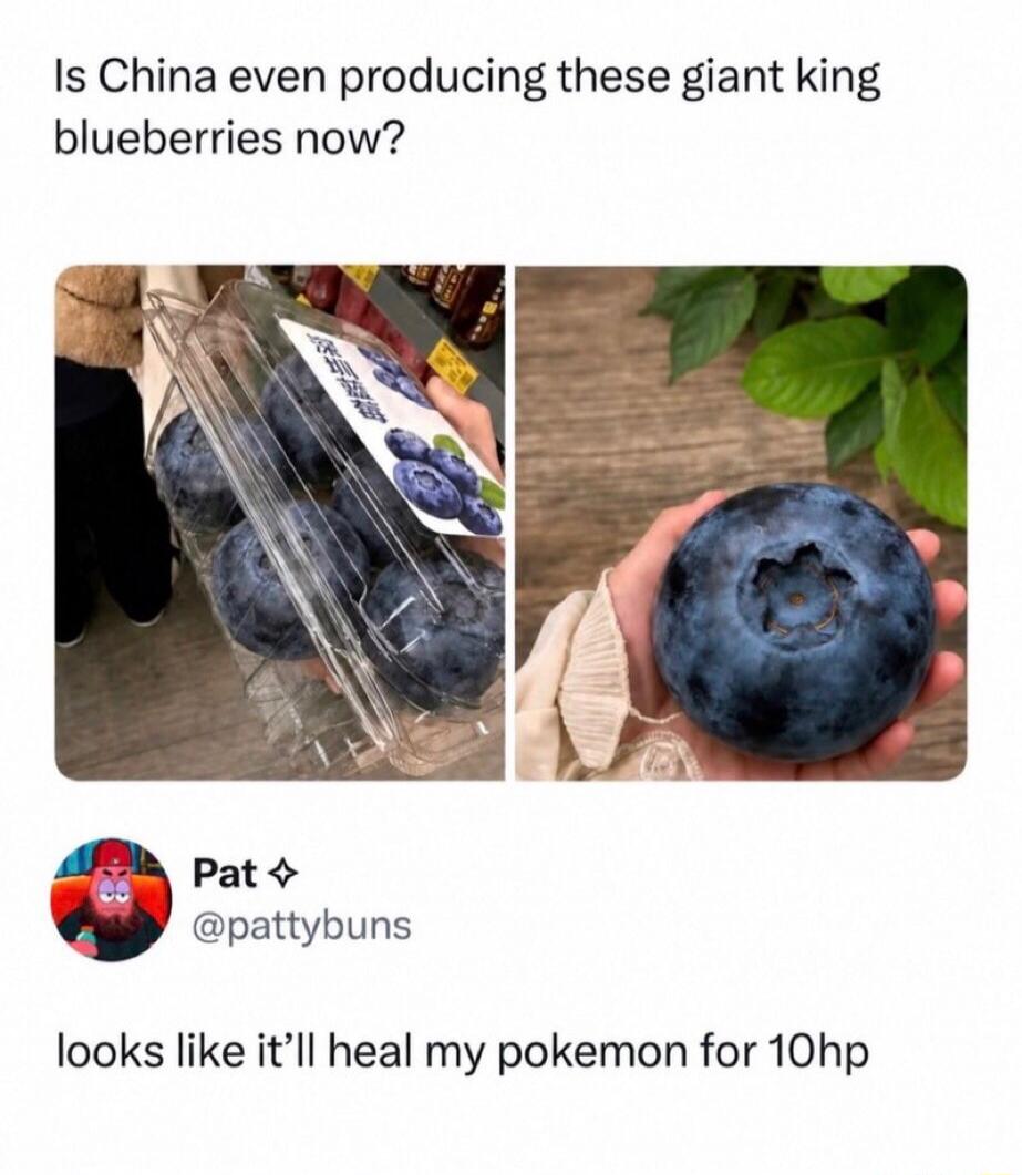 Is China even producing these giant king blueberries now? Pat @pattybuns looks like it'll heal my pokemon for 10hp