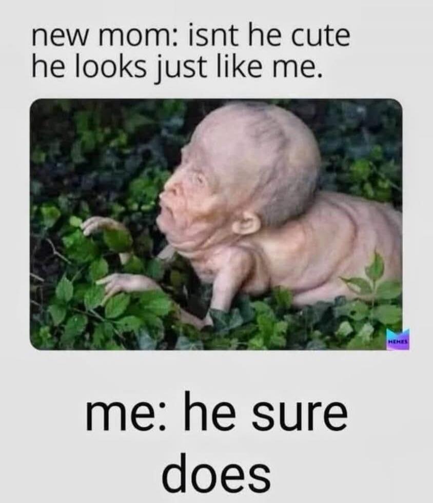 new mom: isnt he cute he looks just like me. me: he sure does