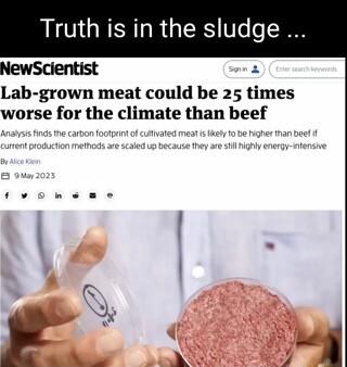 Truth is in the sludge NewScientist s Lab grown meat could be 25 times worse for the climate than beef fvememe
